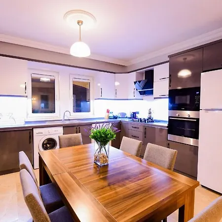 You Will Love This Luxury 4 Bedroom Villa, 1005 * 费特希耶